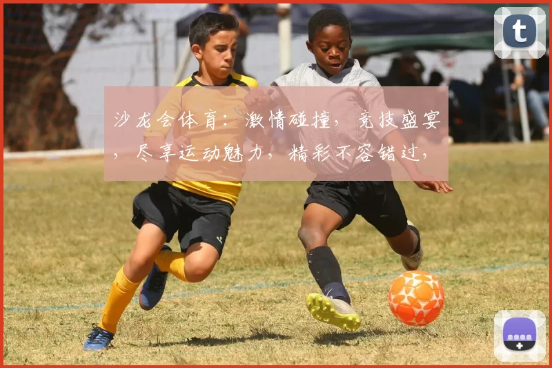 沙龙会体育：激情碰撞，竞技盛宴，尽享运动魅力，精彩不容错过，快来加入